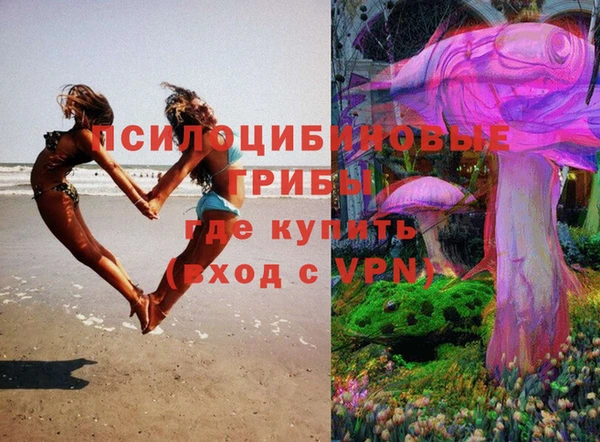 МДПВ Корсаков