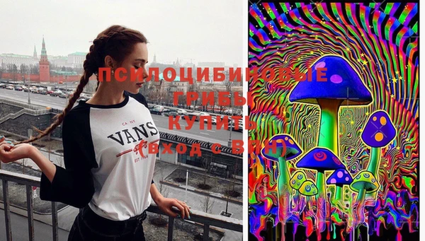 МДПВ Корсаков