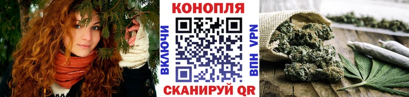 закладка  Шуя  Каннабис SATIVA & INDICA 
